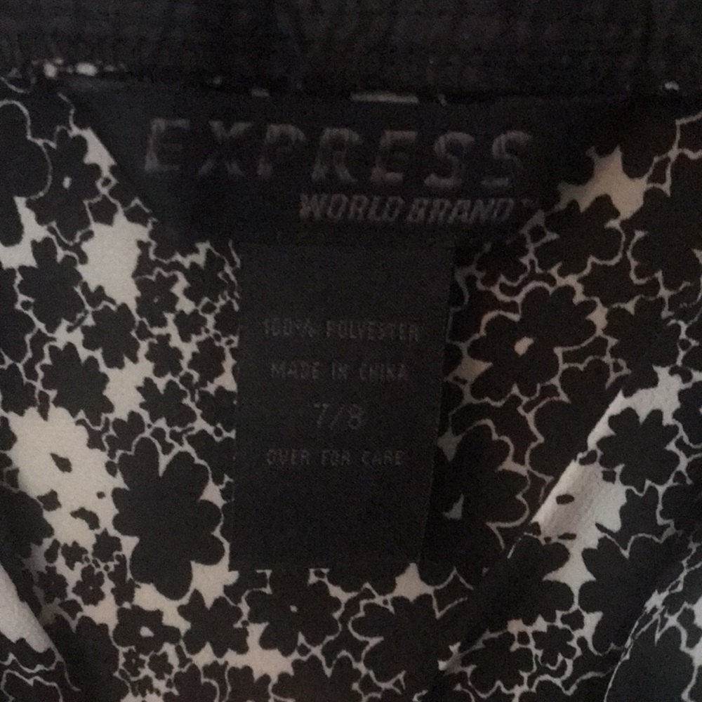 Express Dress - Picture 3 of 4
